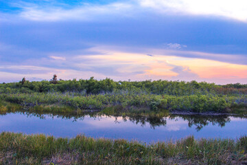 sunset in the swamp refecting in the river