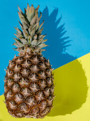 pineapple on a vibrant duotone yellow blue background with hard shadows. vertical, copy space