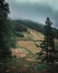 Russia, Caucasus, Terskol, picturesque slope of Mount Elbrus with trees in the fog