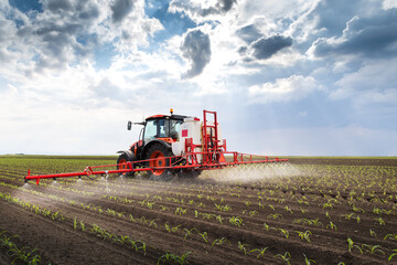 Tractor spraying corn field