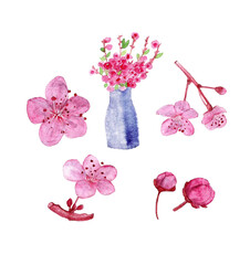 Watercolor set of various sakura brunch, bud, vase with flower isolated on white. Hand drawn illustration for element card, print, pattern, decor