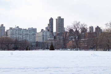 Fototapeta premium Rainey Park Field in Astoria Queens Covered in Snow during Winter with the New York City Skyline