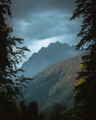 Russia, Caucasus, Dombay, gloomy mountain ridge framed by fir trees in cloudy weather