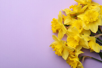 Beautiful daffodil bouquet on violet background, top view. Space for text