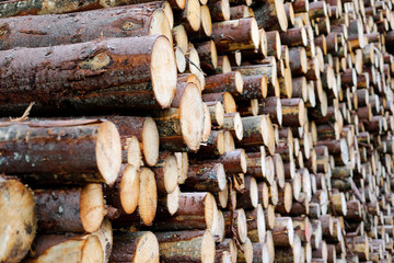stack of firewood, selective focus, full frame, background