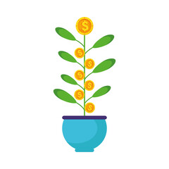 plant of coins dollars