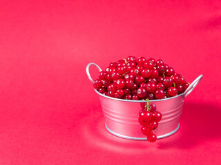 A metal basin filled with red currants on pink background