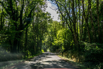 Plounérin est une petite ville des Côtes-d'Armor en Bretagne.	