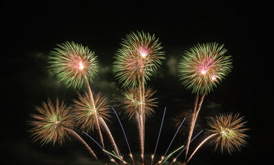 International fireworks festival display at night. Variety of colorful fireworks in holidays celebration isolated on black. Happy New Year Background. © tampatra