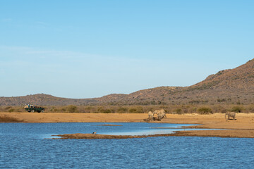 lake in the mountains with elephants drinking water and a tourist safari vehicle viewing.