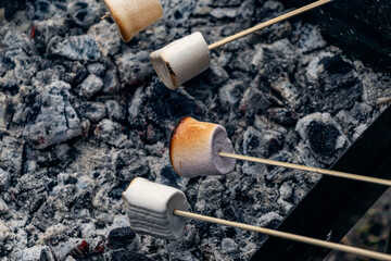 Grilled marshmallow on stick. Marshmallow on skewer roasted on charcoals, ready to be eaten. Tasty sweet, dessert for resting on nature.
