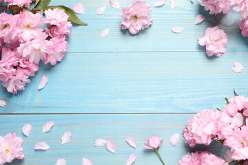 Naklejka na ściany i meble Beautiful frame of sakura tree blossoms on turquoise wooden table, flat lay. Space for text