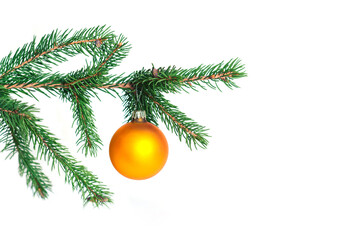 Fototapeta na wymiar Fir tree branch on white isolated background. Close up of gold balls on christmas tree. Christmas card template.