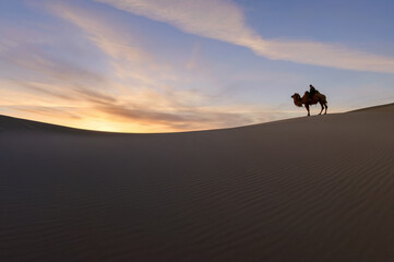 Fototapeta na wymiar Camel going through the sand dunes on sunrise, Gobi desert Mongolia