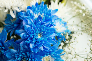 Beautiful bouquet of blue chrysanthemums close-up. Blue chrysanthemums in a flower shop.