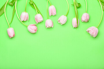 Beautiful tulip flowers on color background