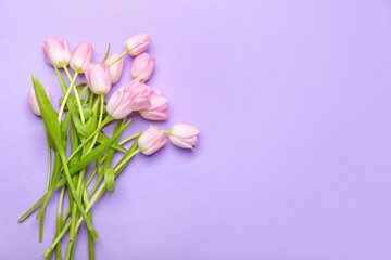 Beautiful tulip flowers on color background