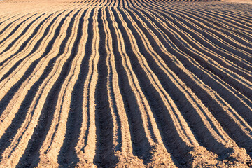 Arable land, furrows texture background. Agriculture, field on farm, soil, countryside, agronomy.
