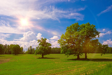Beautiful colorful summer spring natural countryside landscape with by green foliage of trees in sunlight.