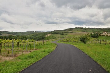 Vigneti Canevino Pavia