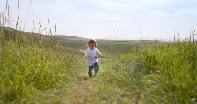 Funny smiling little boy running in grass of meadow, looking at camera and laughing. Happy kid having fun - childhood dream, discoveries, positive emotions 4k footage