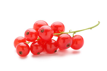Stem of red currants isolated on white background