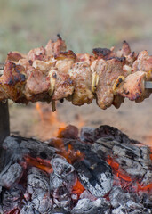 Outdoor picnic. Cooking barbecue on coals. Shish kebab meat on skewers close-up.