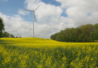 krajobraz © Krzysztof  Jaworski