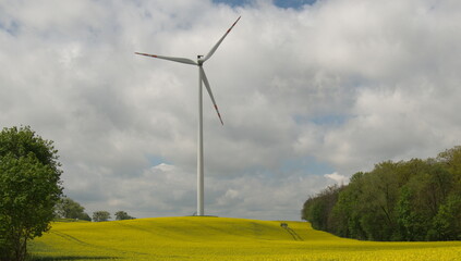 krajobraz © Krzysztof  Jaworski