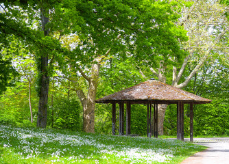 Es gibt einen Pavillon im Wald.