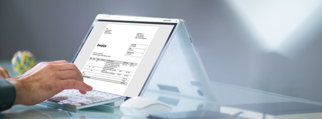 Electronic Invoice Statement Software