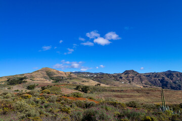Paisaje de los Llanos de Samarrita en la isla de Gran Canaria