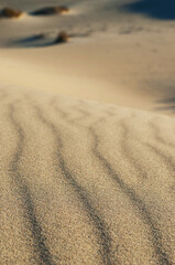 Waves on the surface of the sand dunes, selective focus. Close-up.