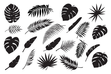 Fototapeta na wymiar Palm leaves silhouettes. Tropical leaf monstera, banana and coconut. Jungle foliage, exotic rainforest palm tree floral decoration vector set. Paradise branches and leafage for summertime