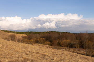 natural landscape early spring yellow field and blue sky with clouds