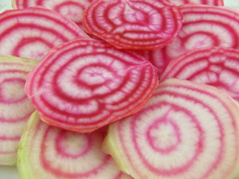 Tasty raw chioggia beet sliced on a plate
