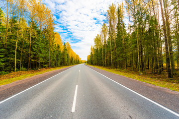 Autumn rural road running through a forest. Close up view from the center of the road