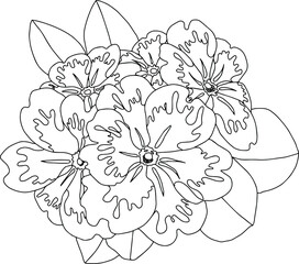  blossom branch flowers with leaves open flowers isolated vector