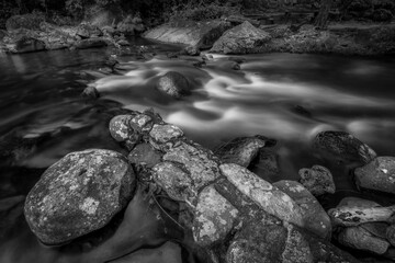 Monochrome water stream running through Magoebaskloof Forest in South Africa