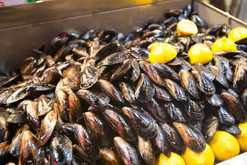 トルコ料理 ミディエ