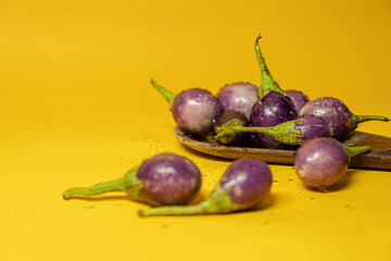 Eggplant on the yellow background 