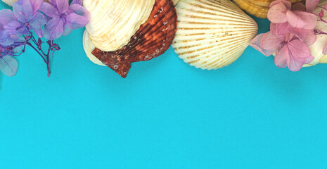 Sea and beach flat lay border composition on a bright colorful background, seashells top view and copy space photo