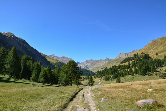 Vallon du Lauzanier, Col de Larche