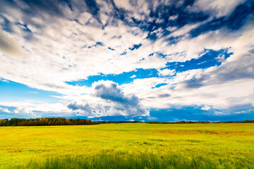 Fototapeta premium Green fields in the middle of forests on the background of the autumn sky with clouds
