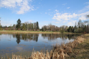 Early Spring On The Lake, U of A Botanic Gardens, Devon, Alberta