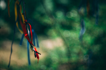 Colored fabric stripes hang on the tree 