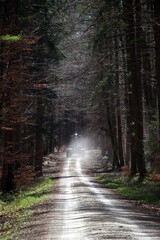 forest tractor in gravel dust driving on white gravel road through mixed forest