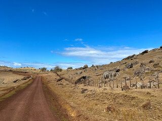 Lonely path on Stony Batter Historic Reserve, Waiheke Island, Auckland, New Zealand