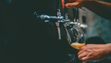 bartender hand at beer tap pouring a draught beer in glass serving in a restaurant or pub