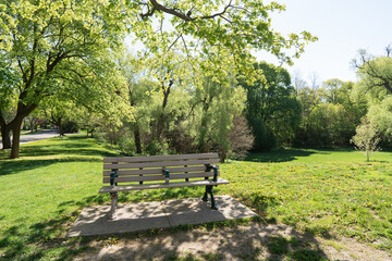Park Bench on a sunny day in Spring
